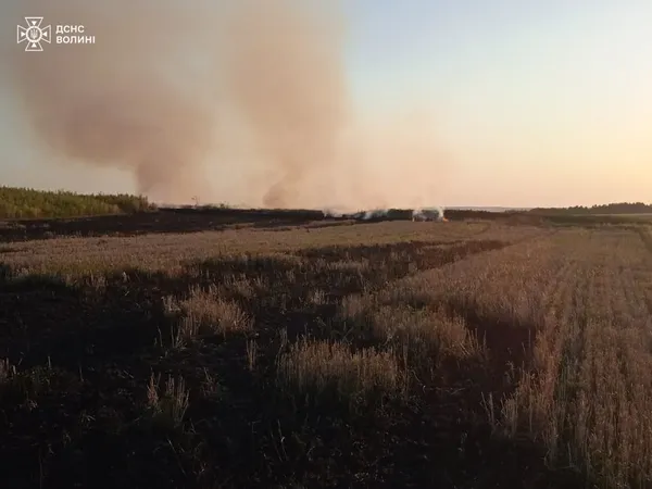 Горить стерня: Волинь потерпає від польових пожеж (фото)