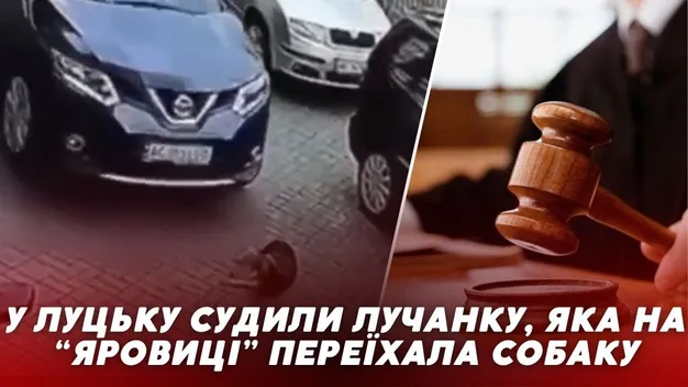 У Луцьку судять водійку, яка переїхала собаку біля «Яровиці» (відео)