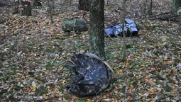 У Польщі знайшли 90 кілограмів бурштину,  переправленого з Волині (фото)