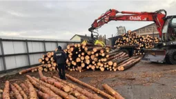 У Ковельському районі вилучили незаконну деревину