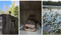 У лісах Полісся знайшли відкритий склеп відомої цілительки (фото, відео)