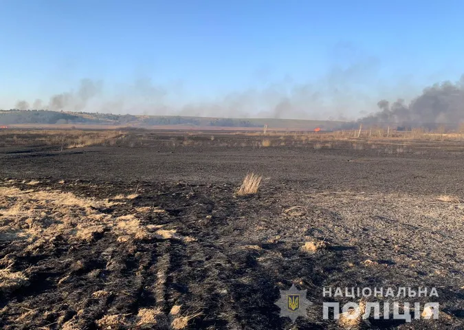 Підпалив очерет: з вини волинянина вигоріло понад 100 гектарів землі (фото, відео)