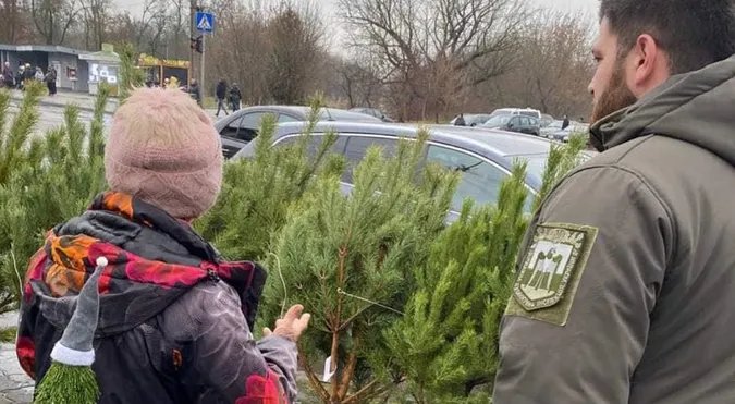 У Луцьку зловили продавців нелегальних новорічних красунь (фото)