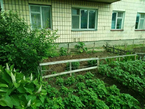 У луцьких дворах «знесли» жахливі паркани (фото)