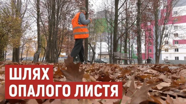 Куди зникає опале листя з Луцька і скільки це коштує (відео)