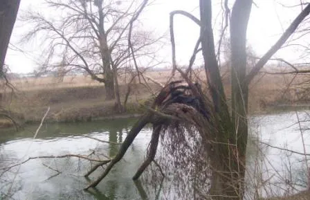 Депутатів Луцькради звинуватили у зазіханні на бюджетні кошти