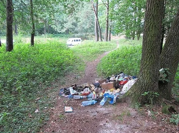 На яку суму насмітили волиняни у лісах в 2016 році
