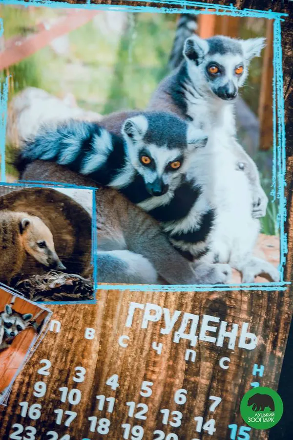 «Луцький зоопарк» видав «мімішний» календар на 2019 рік (фото)