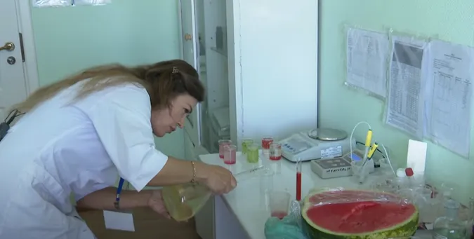 Чи нітратні кавуни з луцького ринку – перевірили в лабораторії (відео)