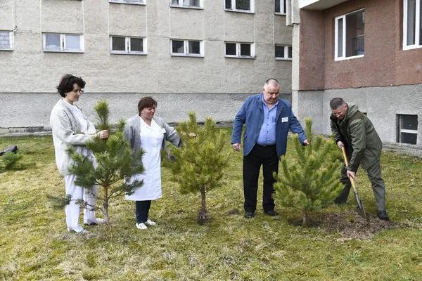 «Живі» гроші,  ремонти, створення парків: як лісівники допомагають громадам на Волині (фото)