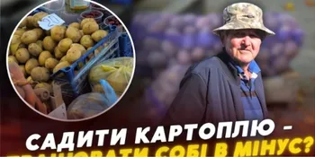 «Вродила половина»: волиняни бідкаються на врожай картоплі та пояснюють, що буде з цінами (відео)