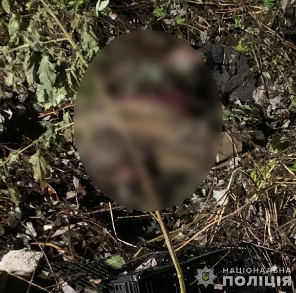 У Луцькому районі жорстоко вбили чоловіка, а труп заховали в кущі (фото)