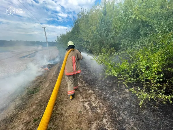 Вогонь охопив півтора гектара: на Волині горіли суха трава, чагарники та торф’яник (фото)