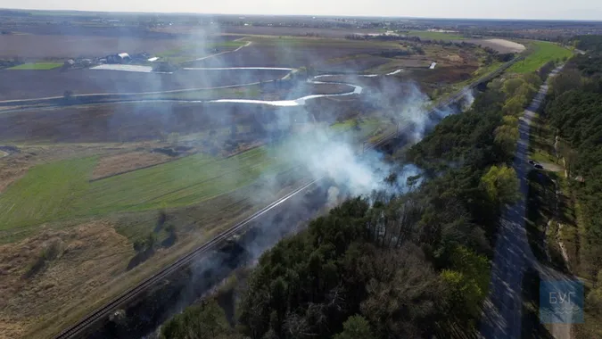 Біля Володимира загорівся ліс: ймовірно, через підпали сухої трави (відео)