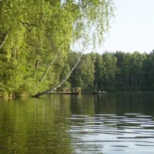 Відпочинок на волинських озерах: умови та ціни (фото)