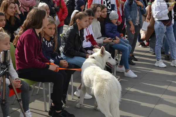 «Мокрі носики»: у Луцьку котики й собаки шукають господарів (ФОТО)