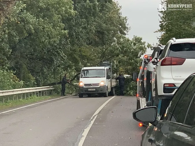 На трасі під Луцьком дерево впало на автівку (фото)