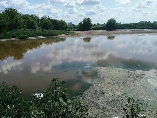 Сморід у Луцьку можна швидко подолати, – фахівець (фото)