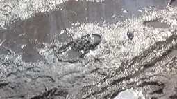 Лучани скаржаться на відсутність тротуарів на Набережній (відео)