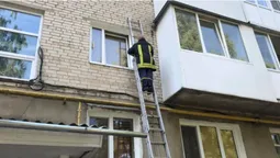 У Володимирі на стіні 5-поверхівки оселився рій бджіл (фото)
