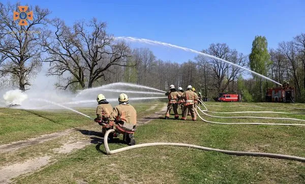 На Волині лісівники і рятувальники «приборкували» вогонь у лісі (фото)