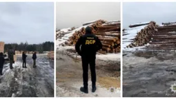 На Волині вилучили деревини сумнівного походження на понад 800 тисяч (фото)