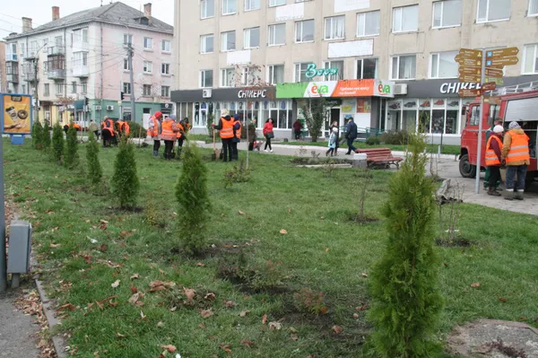 Парки, сквери, вулиці: у Луцькій громаді восени висадили 254 дерева та 285 кущів (фото)