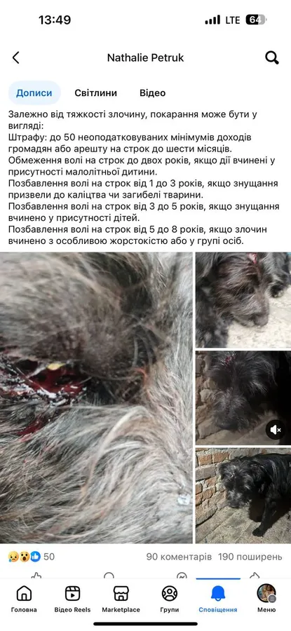 Під Луцьком нелюд побив і закопав живого собаку: справою зайнялась поліція (фото)