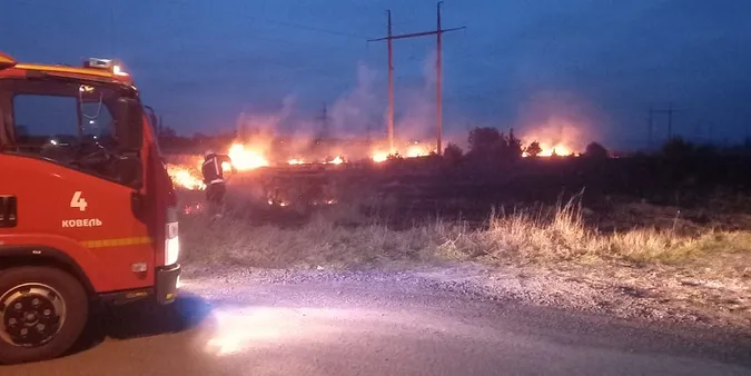 Аномальна зима: на Волині – пожежі в екосистемах (фото)