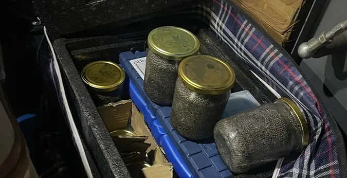 У волинянина на кордоні забрали 15 кілограмів осетрової ікри (фото)