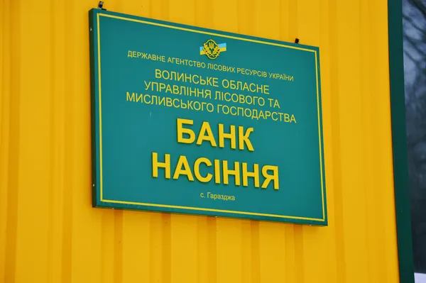 З чого розростається волинський ліс (фото)