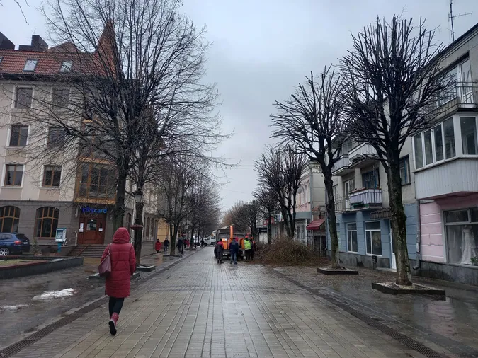 У центрі Луцька кронують дерева (фото)