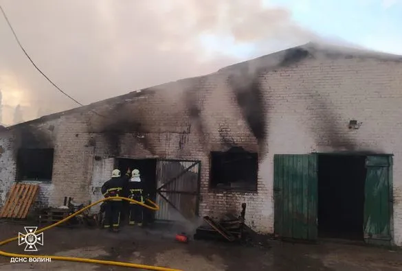 Врятували 700 тварин: у Луцькому районі горів свинарник (фото)