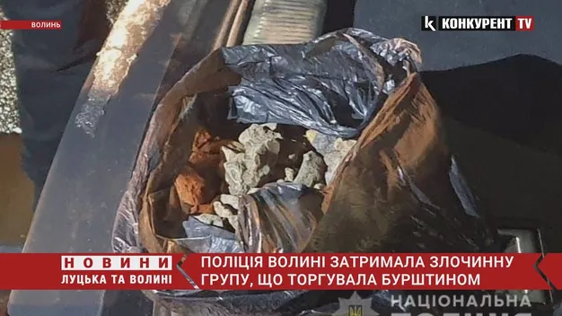 На Волині в результаті масштабної операції викрили «бурштинових бізнесменів» (фото, відео)