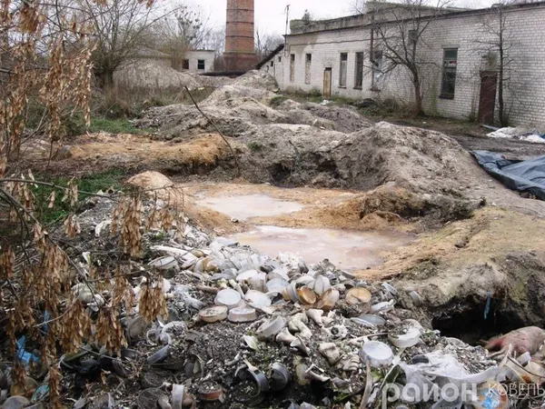 «Укрветсанзавод» скидає туші  тварин на околицях Ковеля (фото)