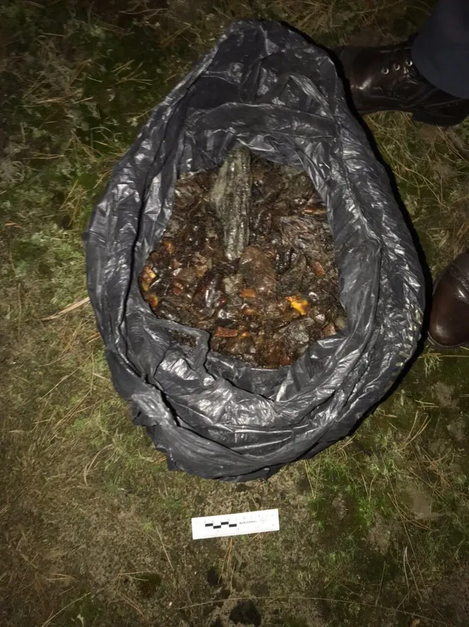 На Волині зупинили «євробляху» з бурштином