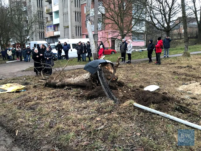 У Нововолинську автомобіль влетів у дерево: загинув священник (фото)