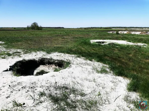 Бурштиновий промисел на карантині: що відбувається на поліських клондайках (фото, відео)