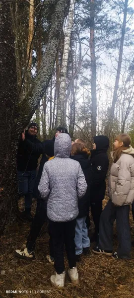 У нацпарку на Волині росте природний феномен з вишнево-коричневою корою (фото)