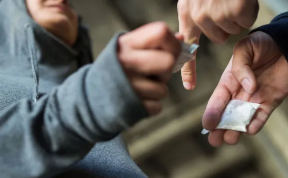 Двох волинян судитимуть за продаж канабісу