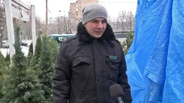 У Луцьку стартував продаж ялинок і сосен: де купити і скільки коштує