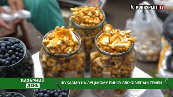 Скільки коштують свіжі гриби у Луцьку на базарі (відео)