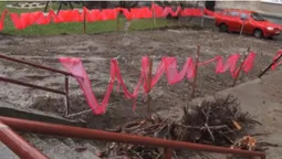 Війна за двір у Луцьку: майданчик проти парковки (відео)