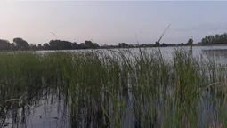 Сітки, ятери, остроги: на Волині зловили рибалок-порушників (фото)