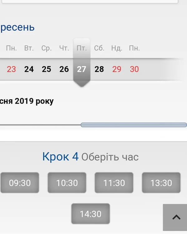 Волинянам пояснили, як стати в чергу на паспорт онлайн