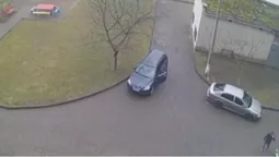 💔У Луцьку водій наїхав на песика, який спав під колесами авто (відео)