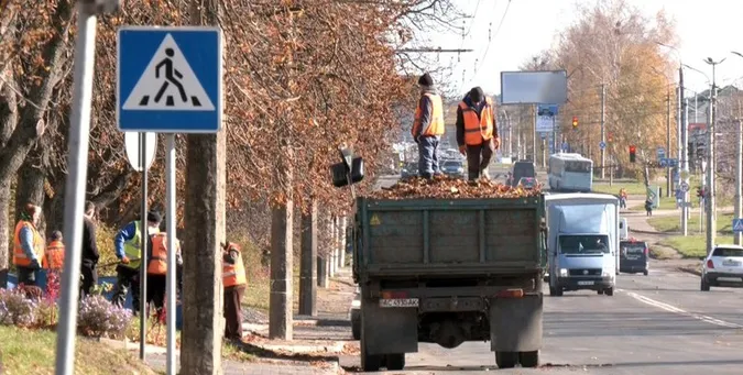 До 5 тонн щодня: як у Луцьку прибирають опале листя (фото, відео)