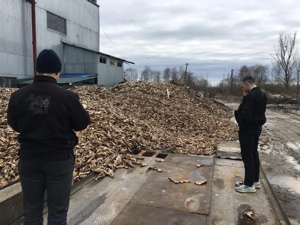Показали «краєвид» біля ковельського ветсанзаводу (фото 18+)