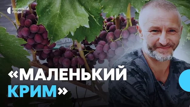 Створили «маленький Крим»: як родина з Волині вирощує 50 сортів винограду (фото, відео)