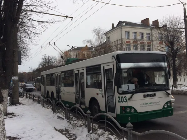 У Луцьку масово зупинилися тролейбуси (фото)